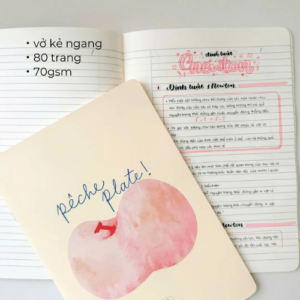 Các loại vở học sinh bạn cần nên biết để lựa chọn cho con vở kẻ ngang 80 trang peach pocket Đào hồng